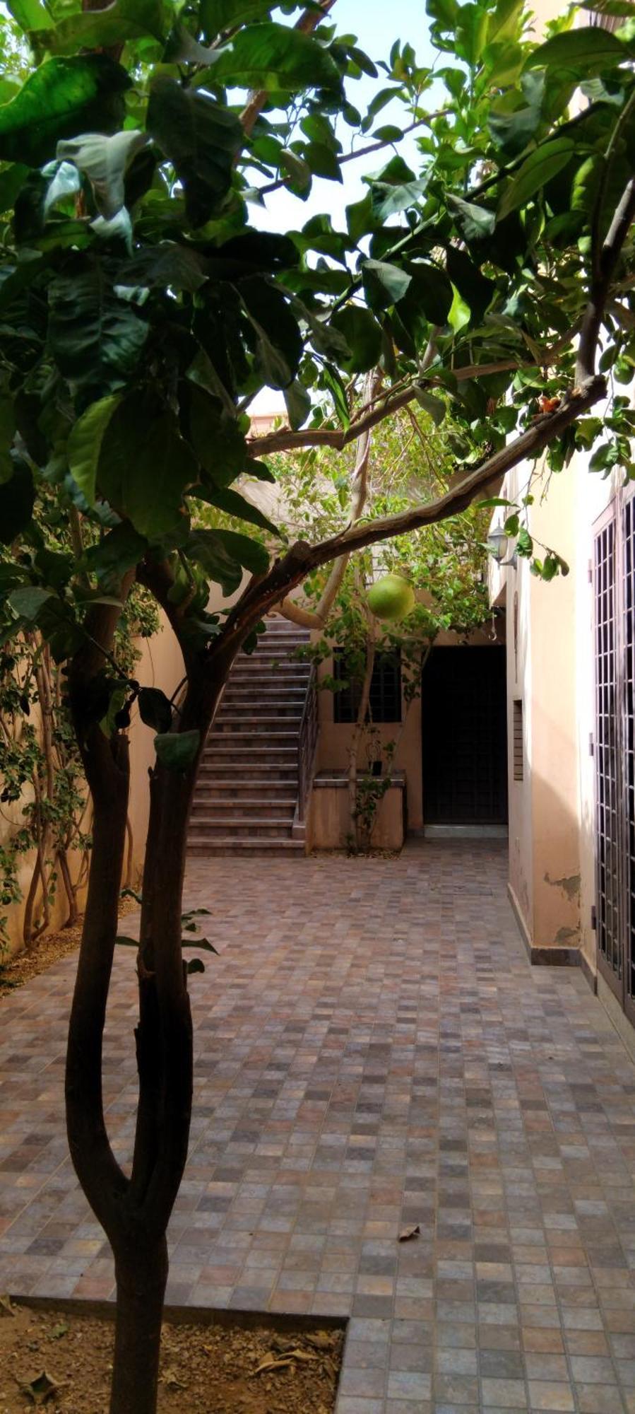 Spins Gueliz Hostel *