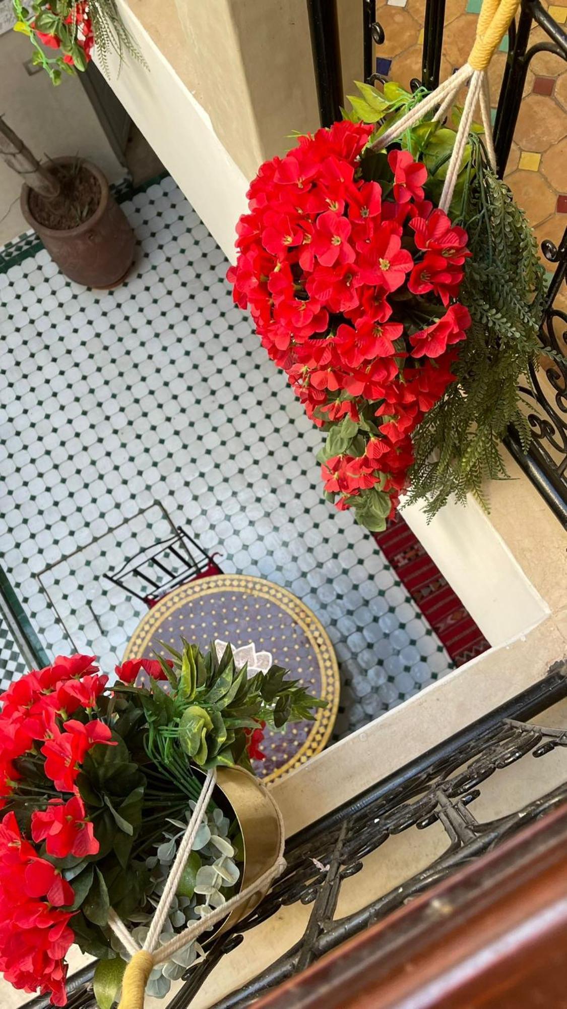 Magnolia&spa Guest house Marrakesh