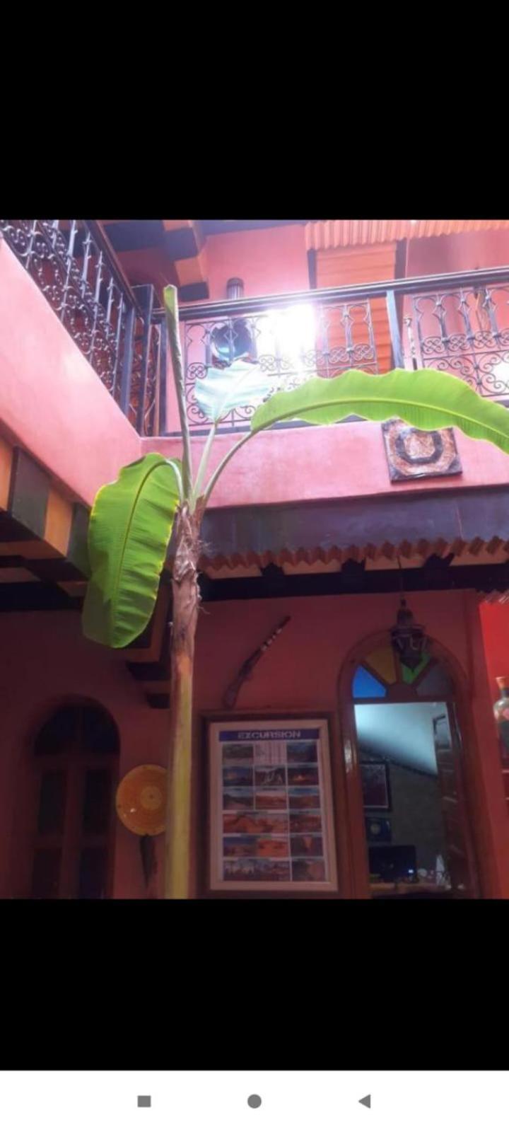 Riad Hanafi *
