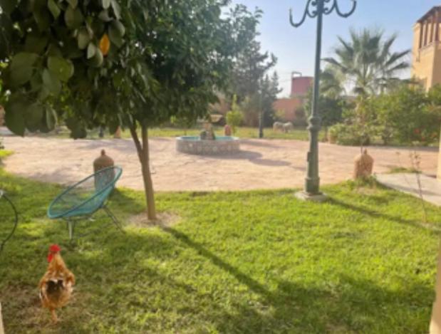Luxury With Large Private Pool * Marrakesh