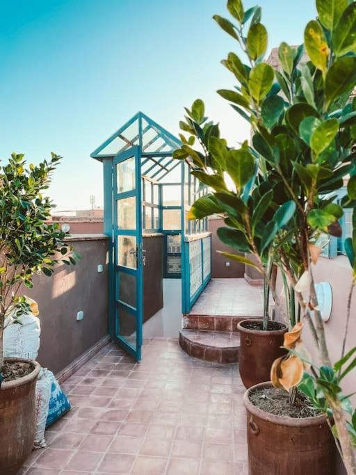 Dar Cidi 100m2 In Der Medina Mit Terrasse *
