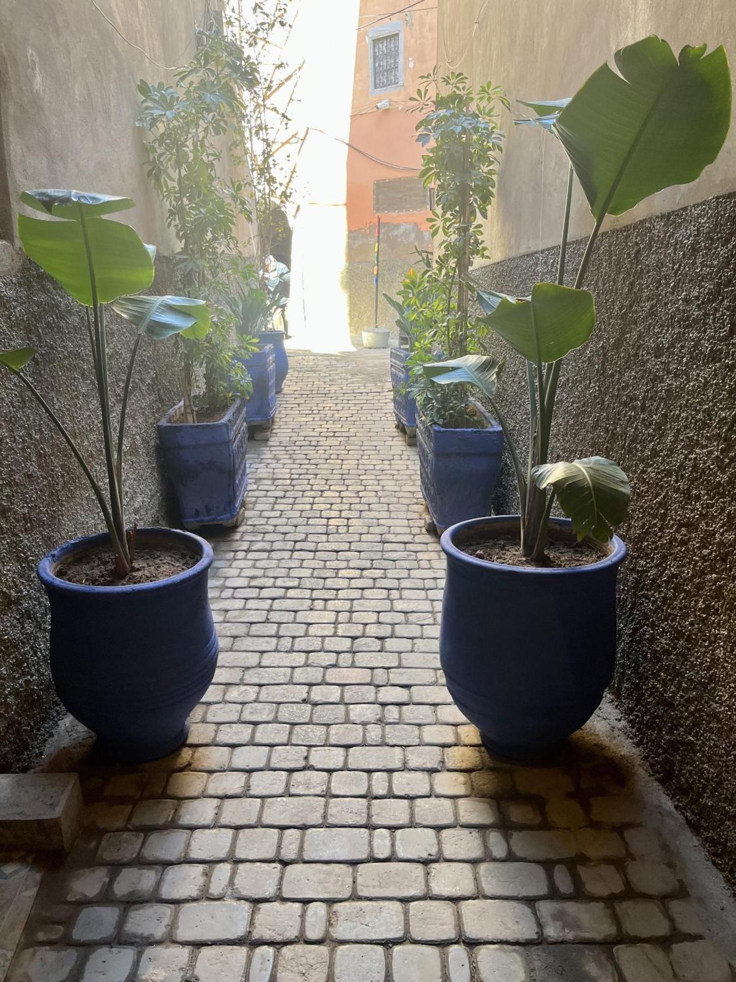 Ecila Marrakesh