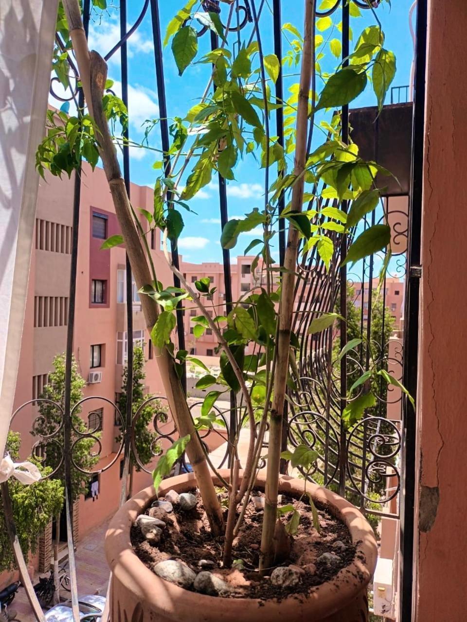 Marrakech Appartement