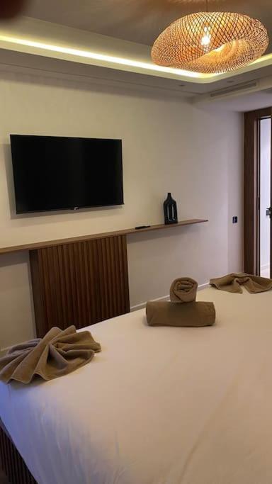 Luxueux Duplex 3 A Victor Hugo