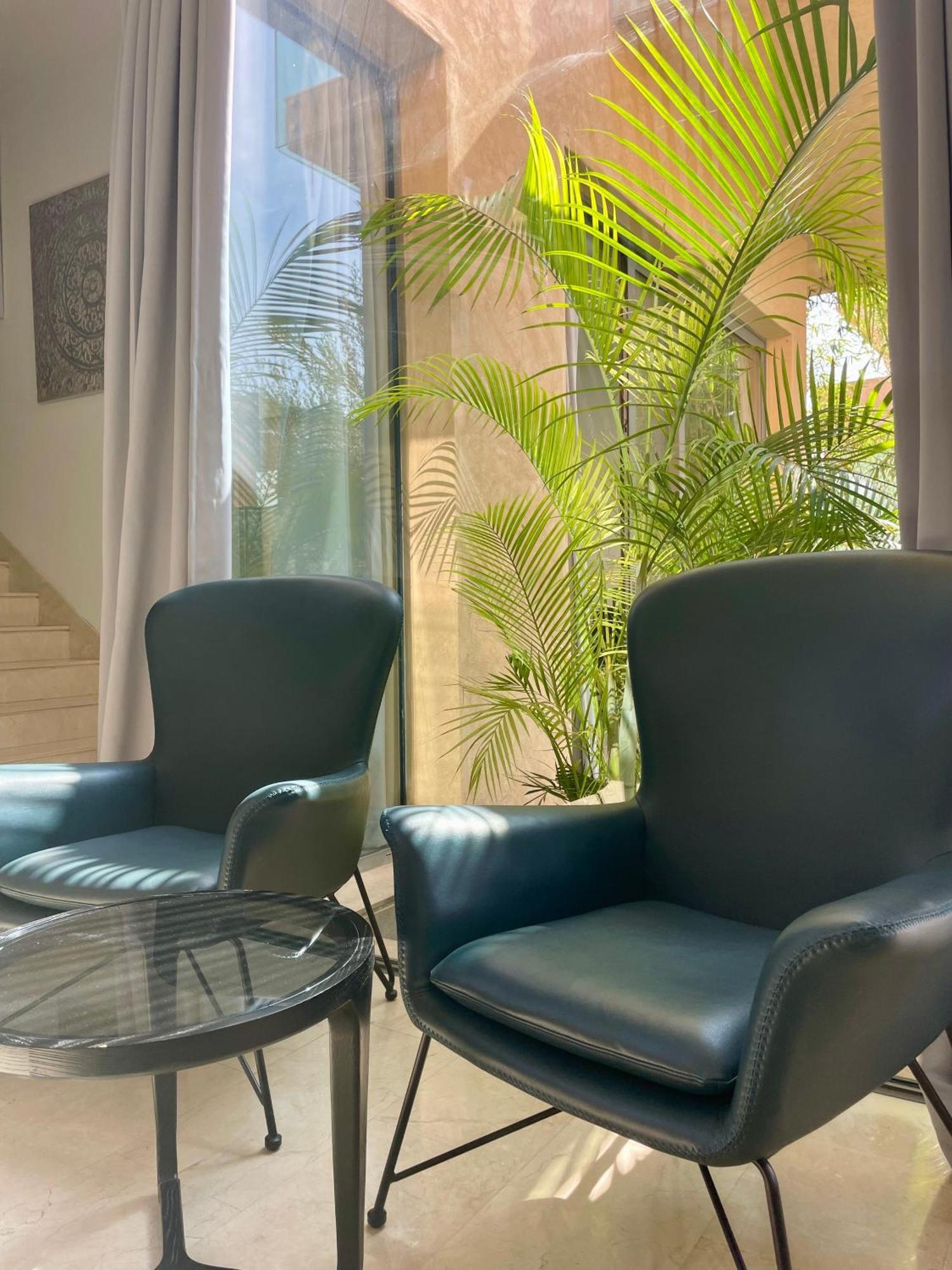Luxury Palm *