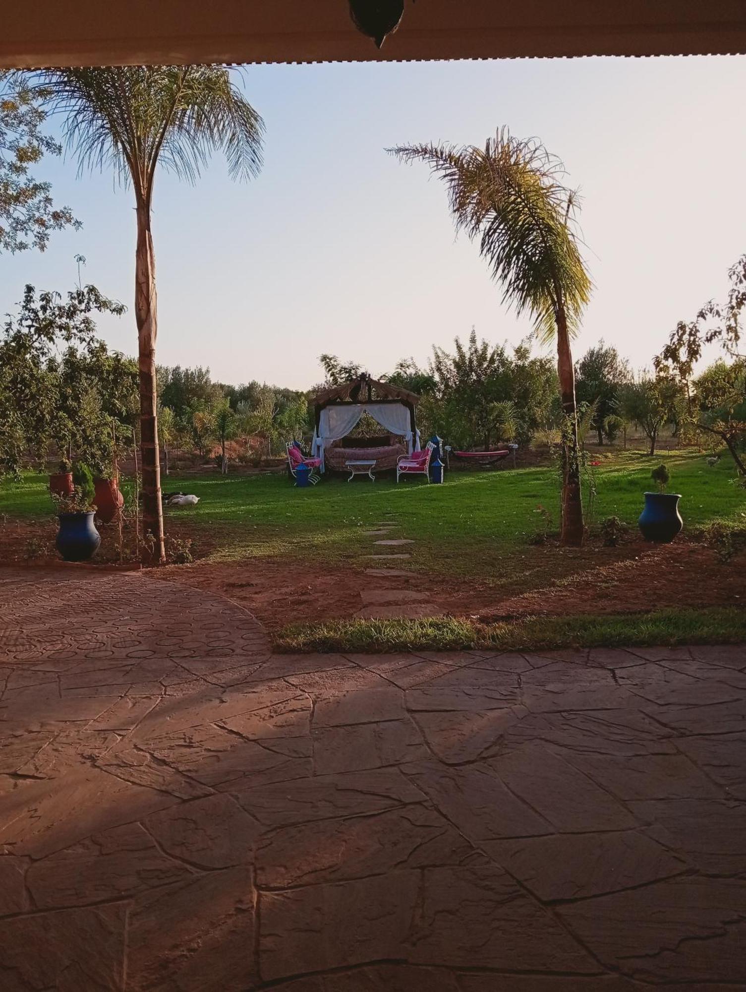 Jamarou * Marrakesh