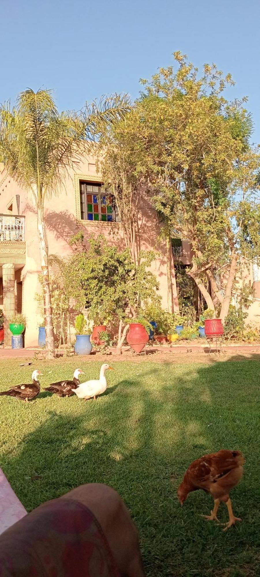 Holiday home Jamarou Marrakesh
