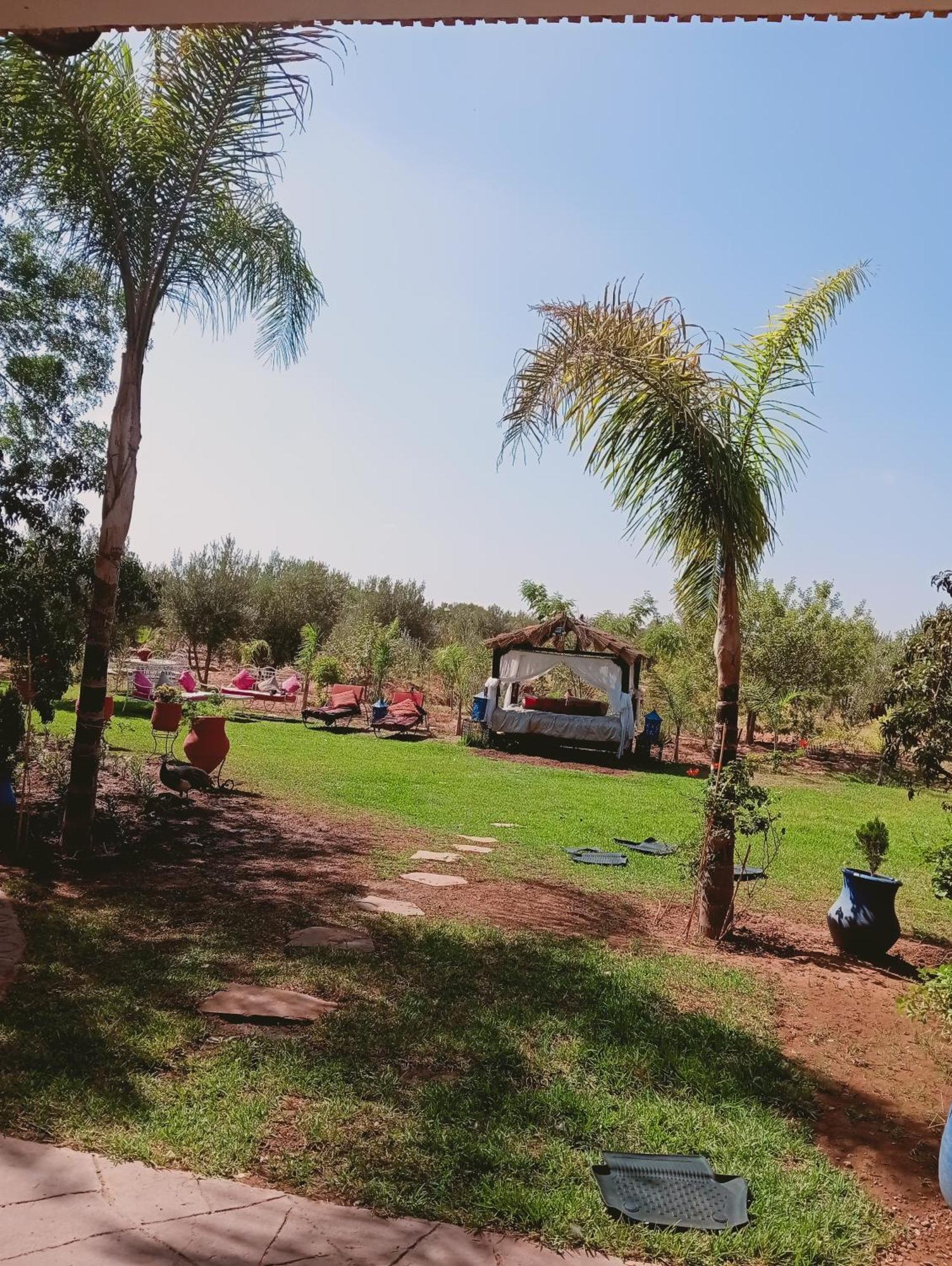Jamarou Marrakesh