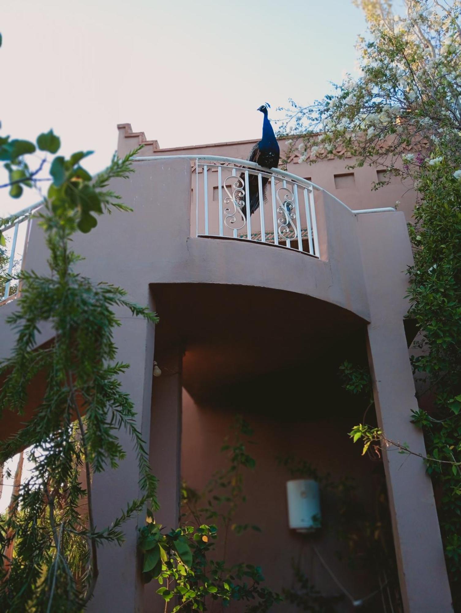 Holiday home Jamarou Marrakesh