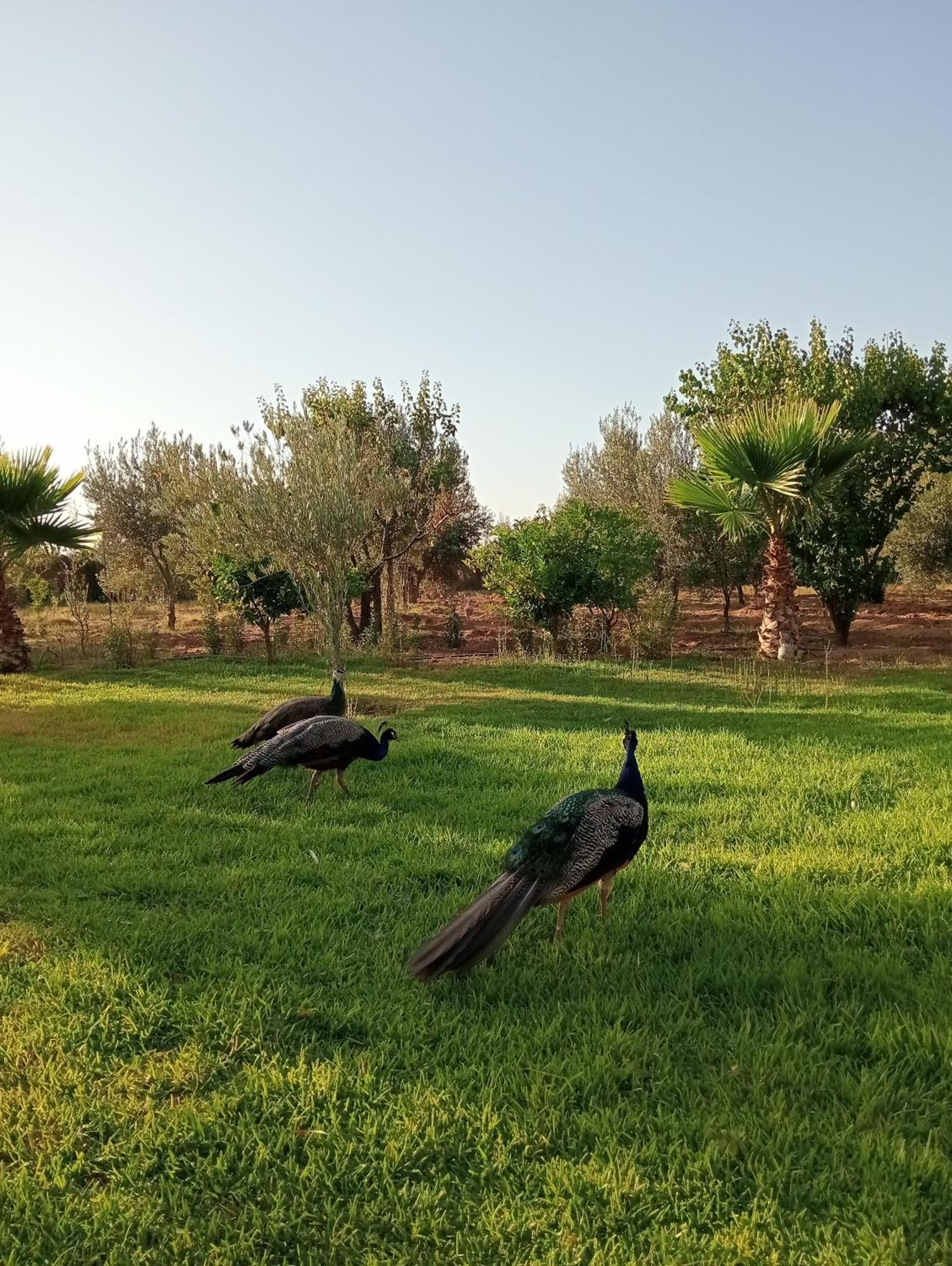 Holiday home Jamarou