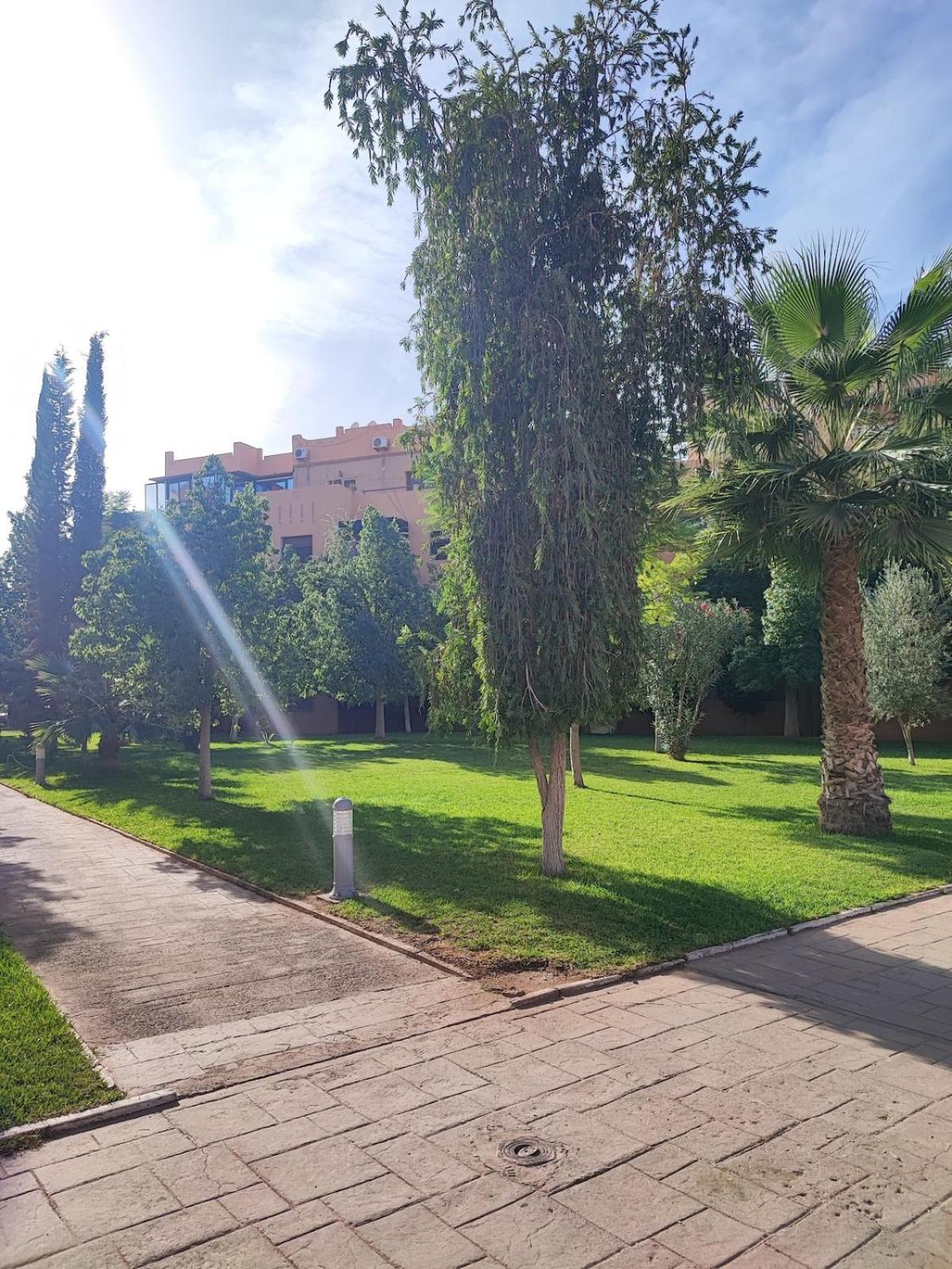 Le Cocon Apartment