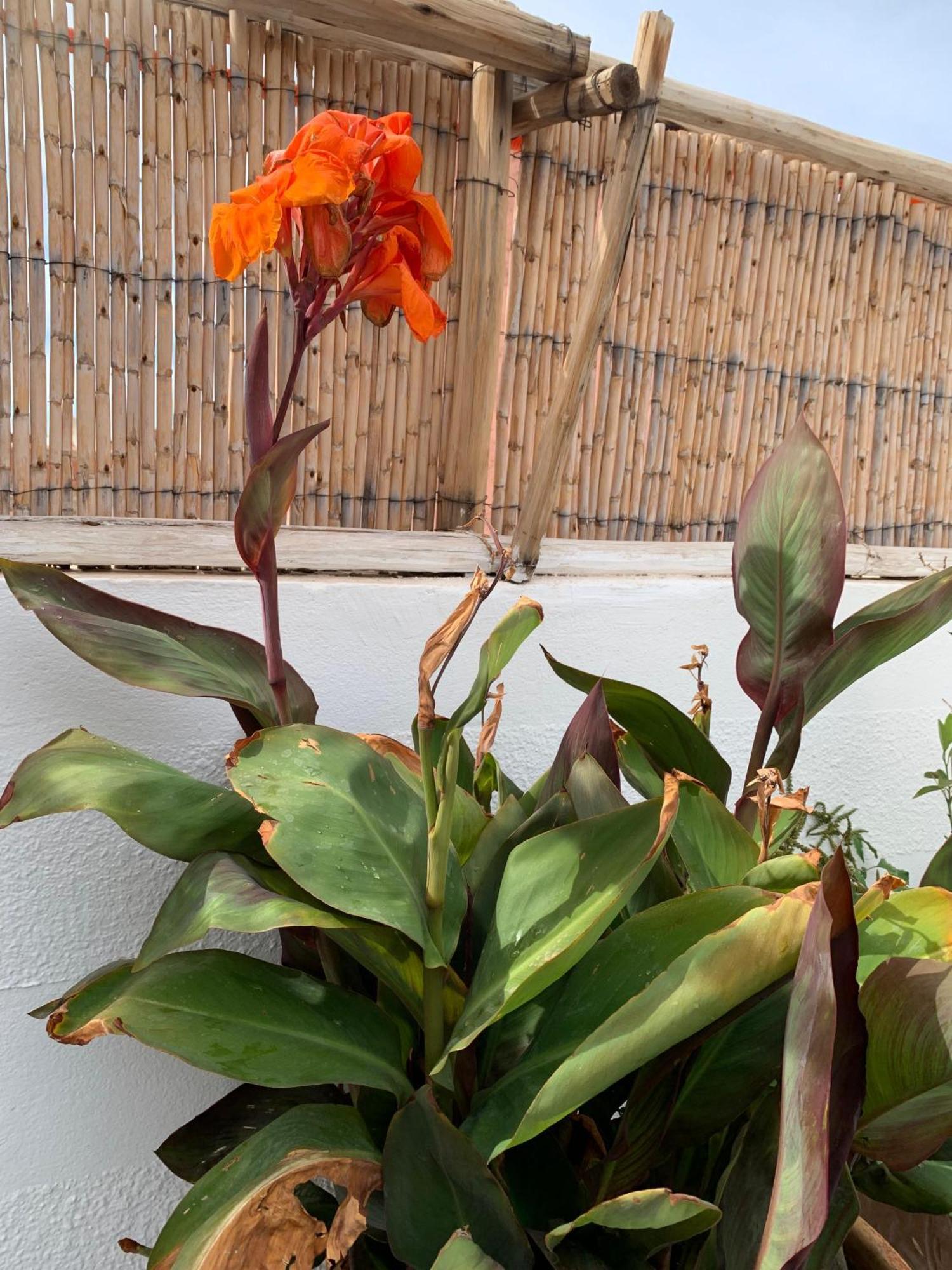 Homestay Maison Imane Marrakech *