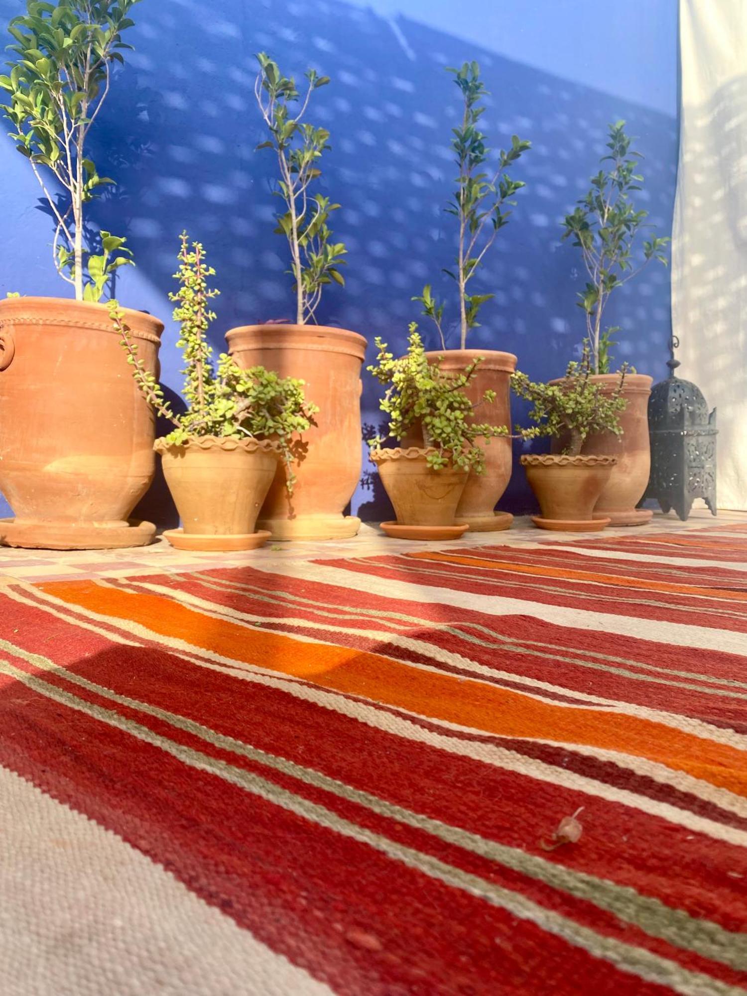 Bed & Breakfast La Perle De Bacha