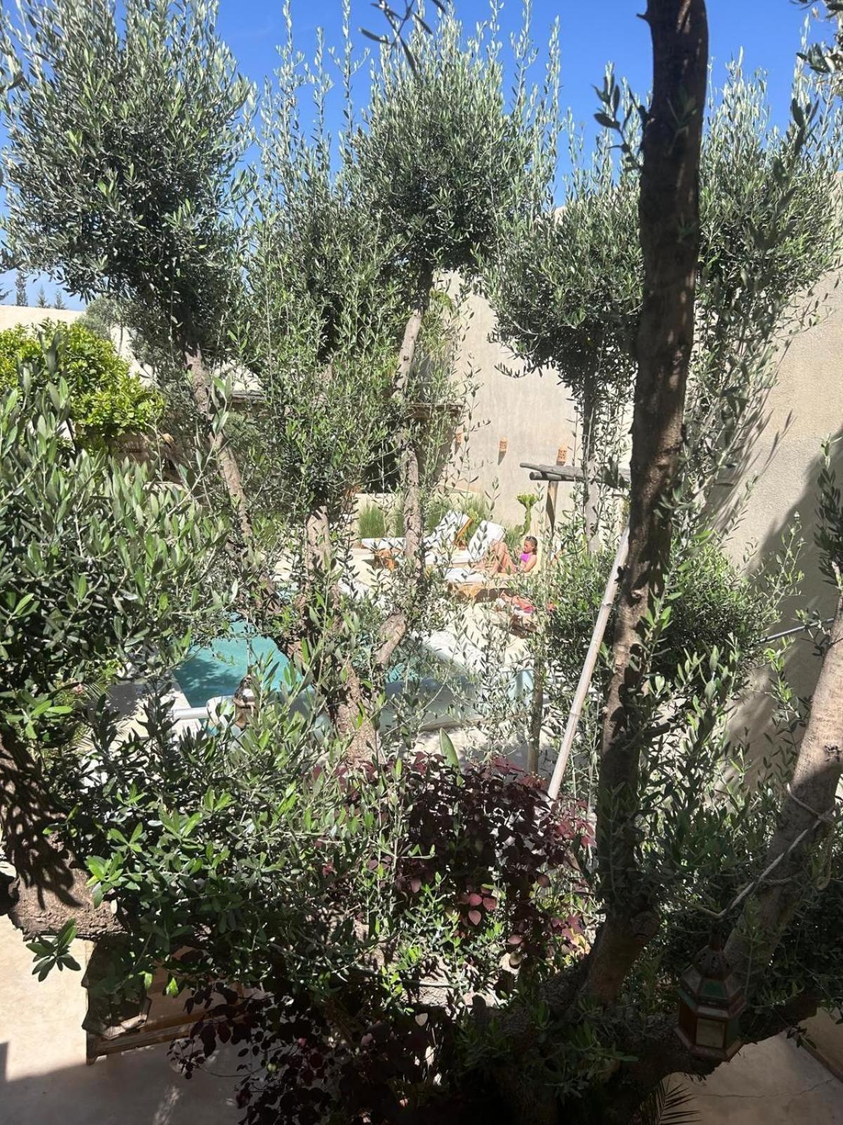 Run Marine, Elegant Private In Marrakech With Heated Pool Option Villa