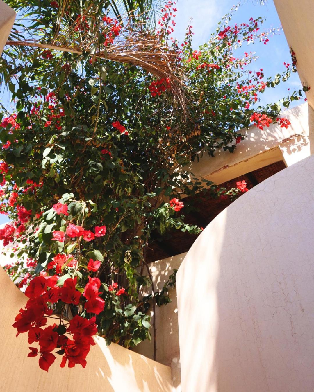 Run Marine, Elegant Private In Marrakech With Heated Pool Option