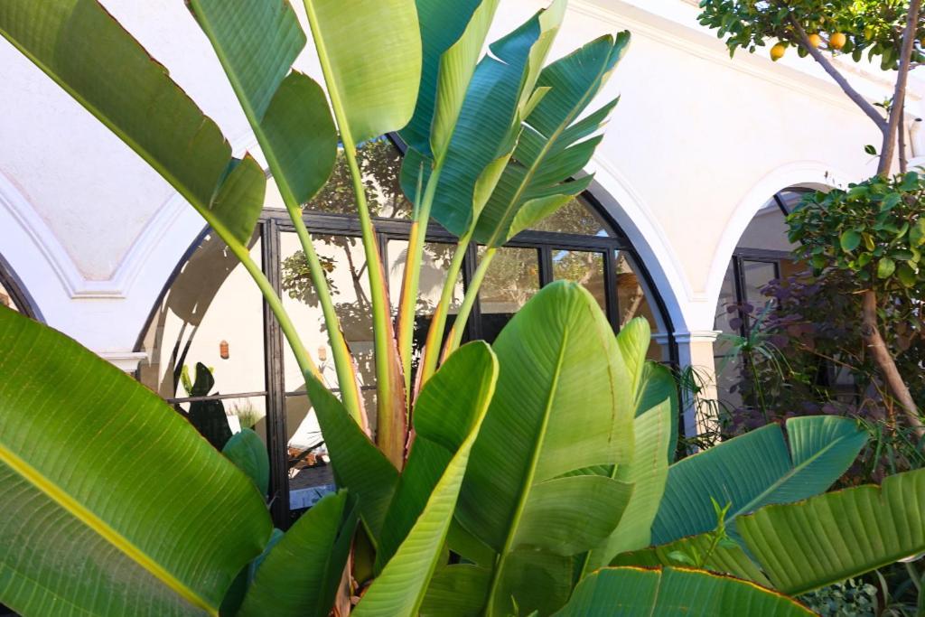 Run Marine, Elegant Private In Marrakech With Heated Pool Option Marrakesh