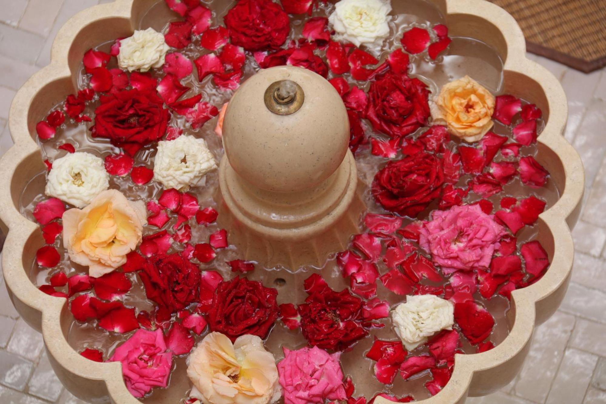 Wazani Square & Bed & Breakfast Marrakesh