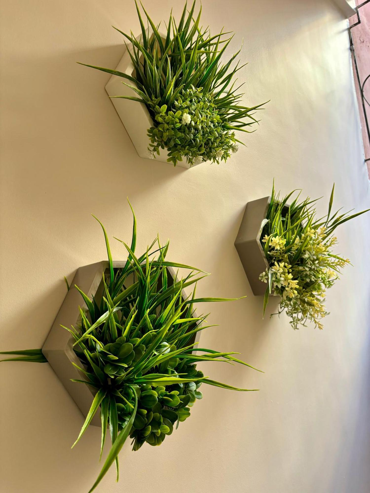 Apartment Dar Mimouna Deco