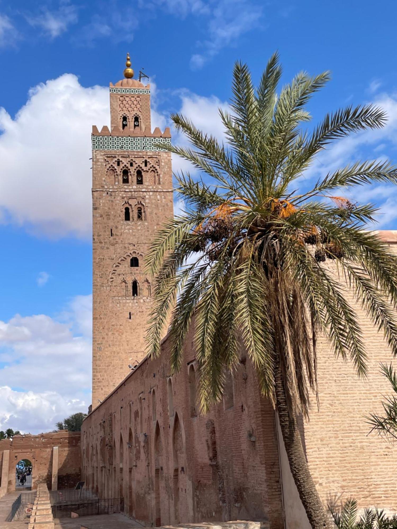 Villa Dom,luxueuse Maison D'artiste Marrakesh