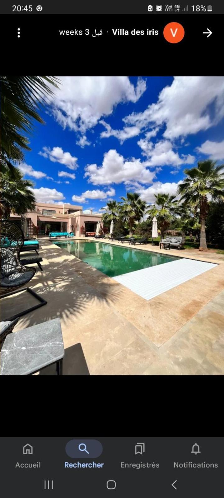 Iris Marrakesh