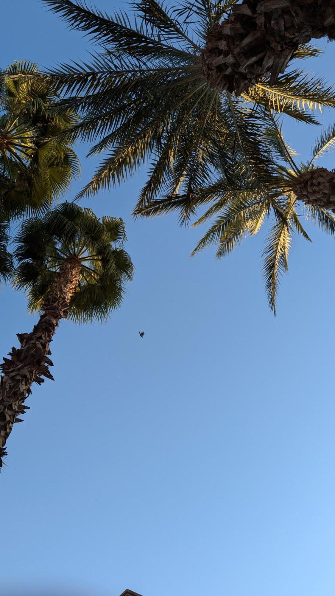 Almohafidon Homestay Marrakesh