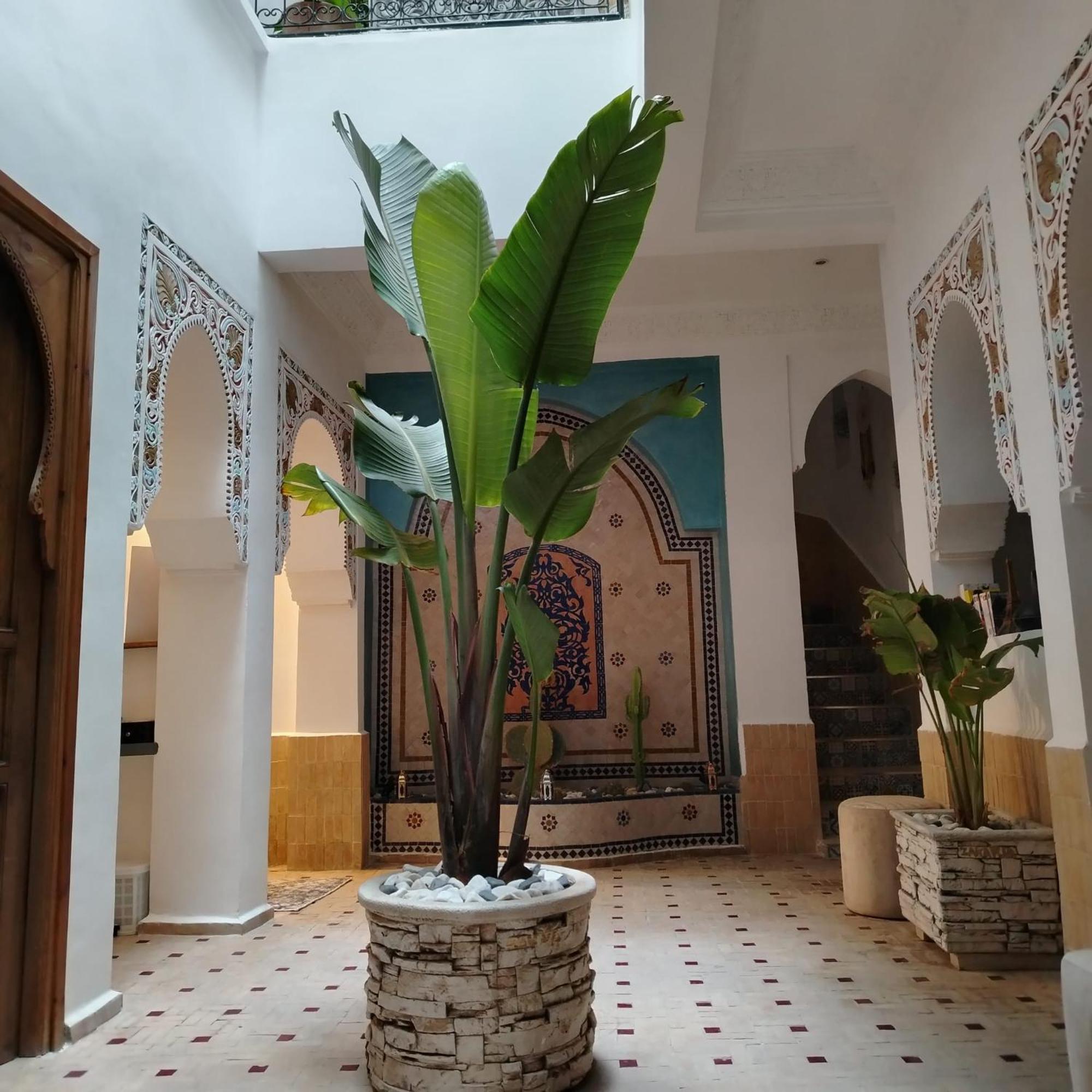 & Sous Le Soleil Chez Jerome Et Pamela Ch Marrakchi Marrakesh