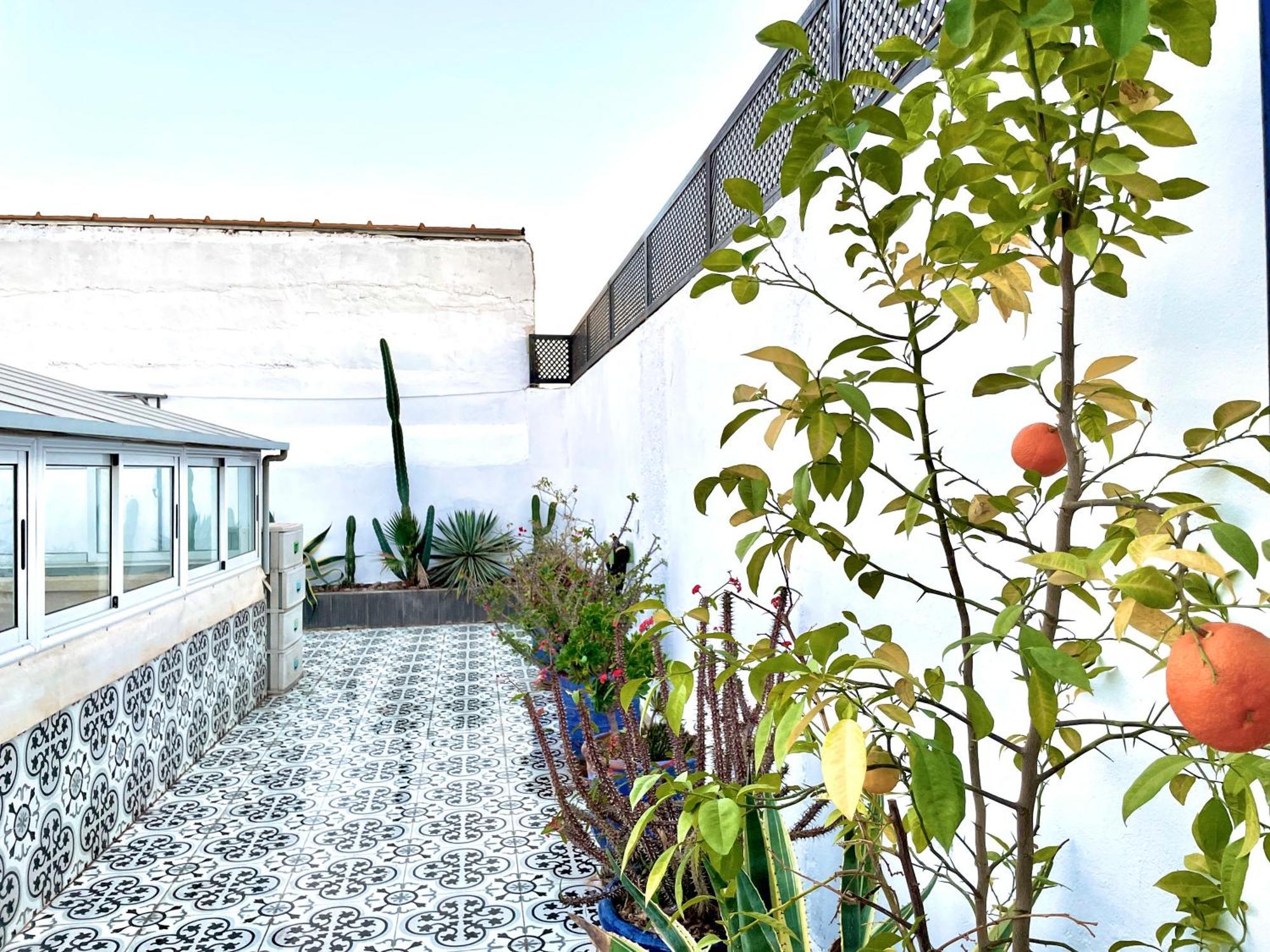 Dom,luxueuse Maison D'artiste Villa