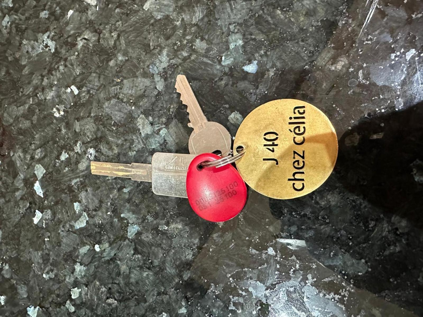 Le Charm J40 En Face Ctm Hivernage A 15mn De L'aeroport Apartment