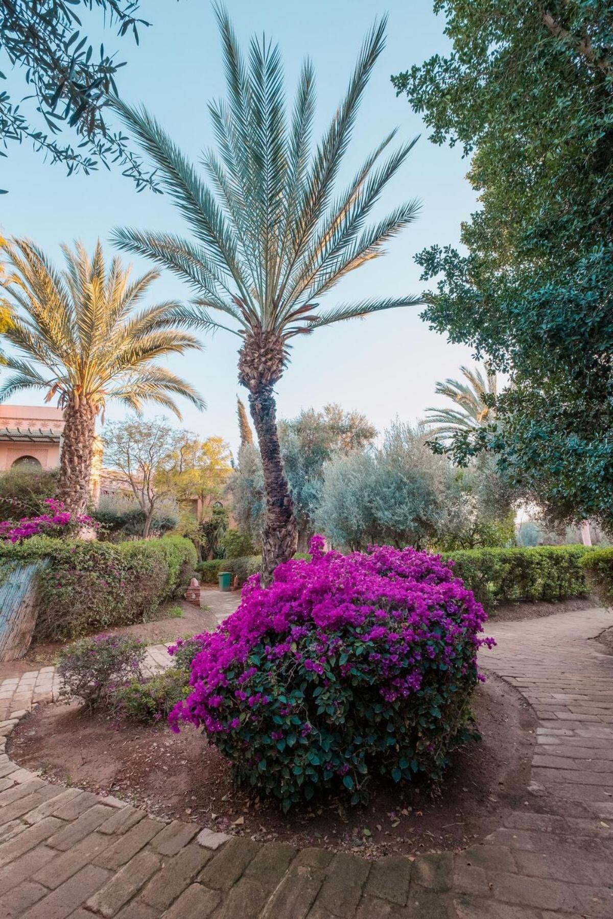 Apartment Palmeraie With Pool Marrakech Near To The Center