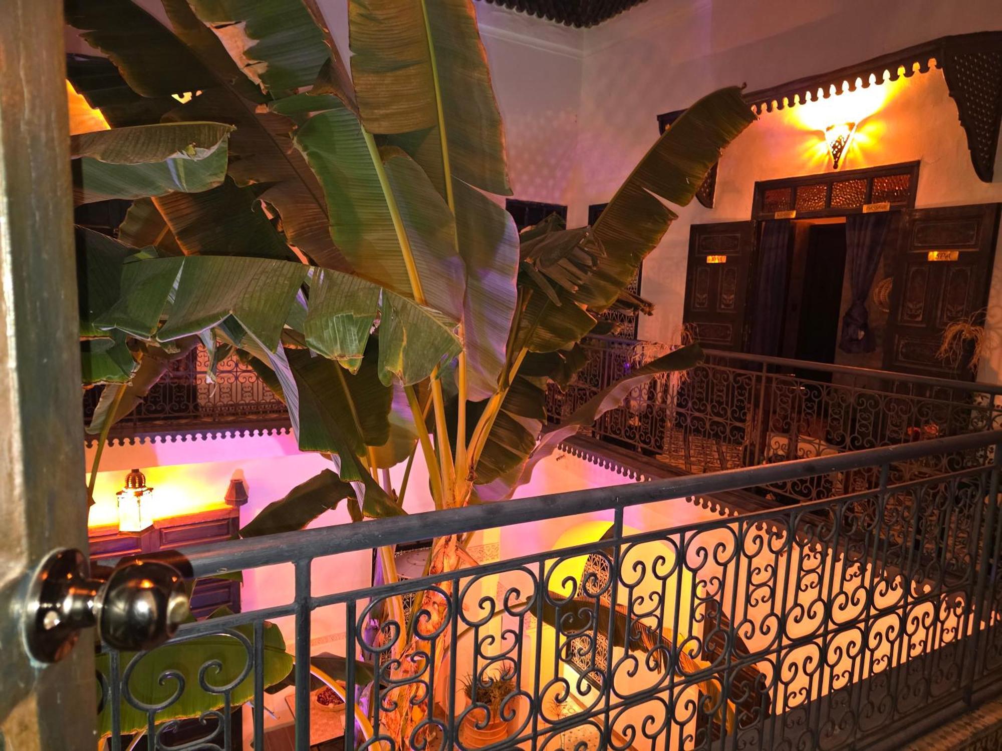 Aloes & (adults Only) 4* Marrakesh