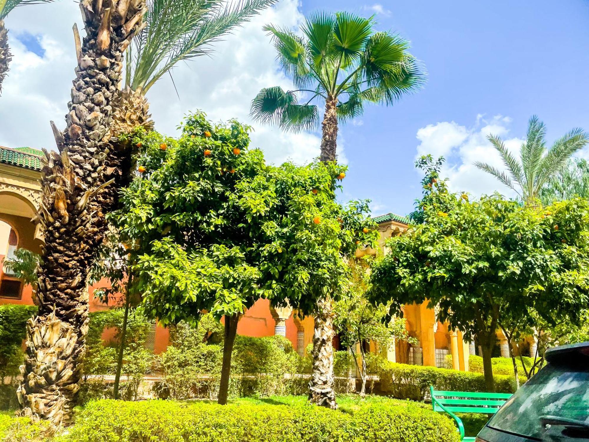 Holiday home Luxury Riad, Marrakech, Pool, Free Airport Shuttle, Dar Bassidi *