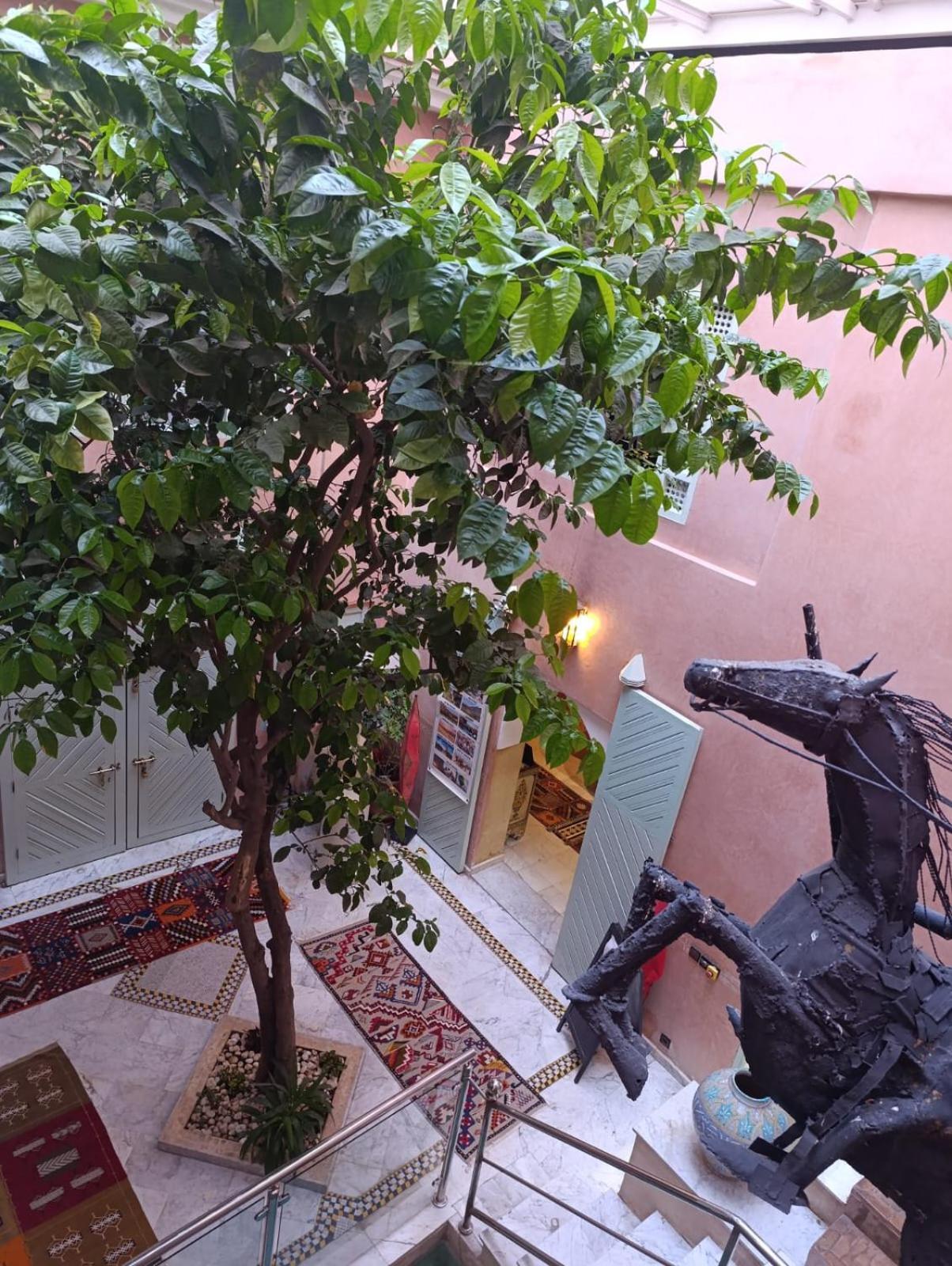 Riad Moullaoud Marrakesh