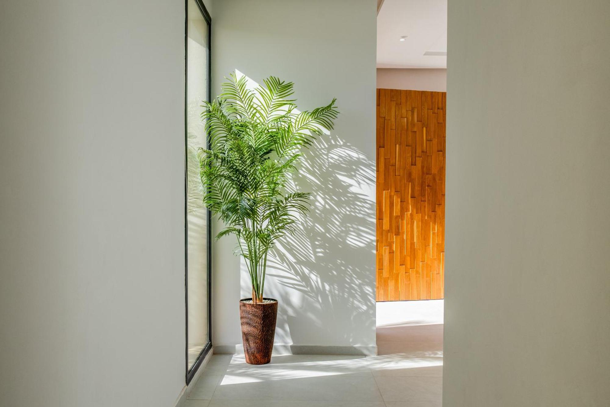 Alia - Piscine - 4 Bedroom Ba - Wifi - Parking