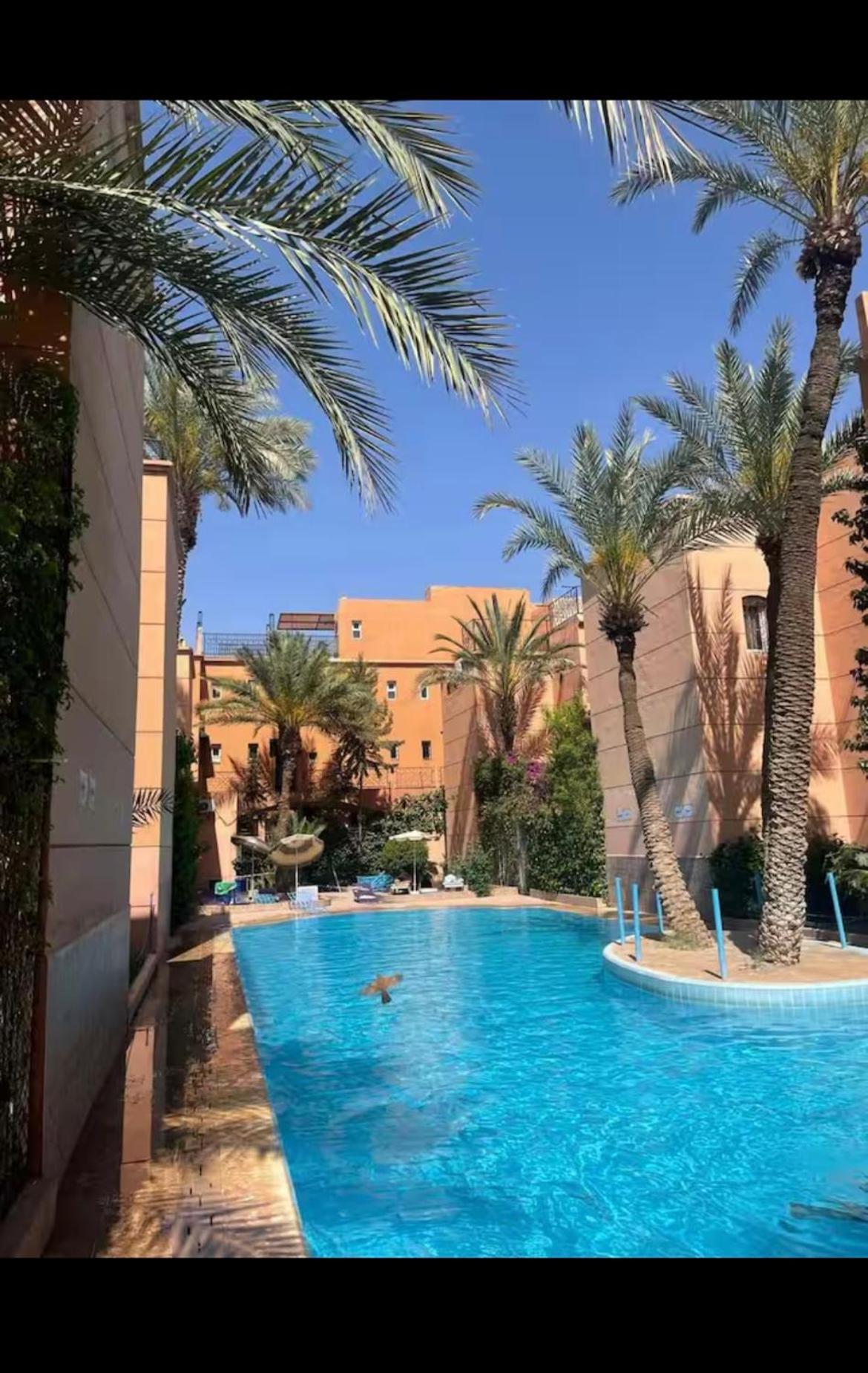 Abdo * Marrakesh