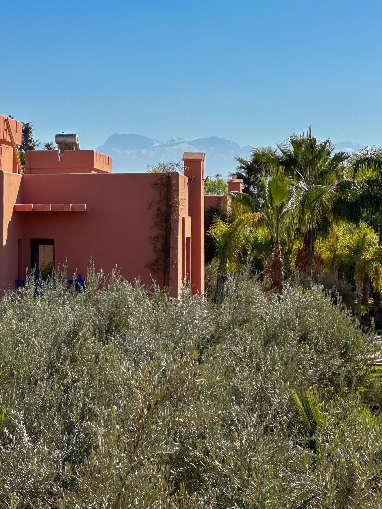 Palais Volteras * Marrakesh