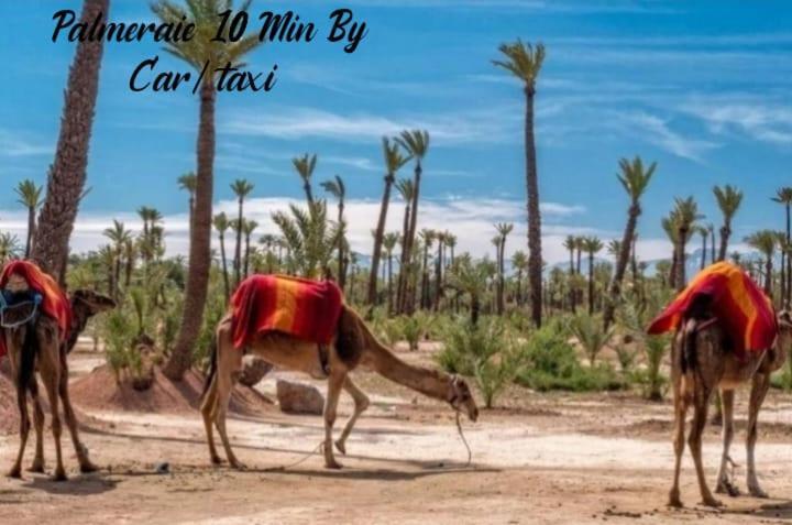 Propriete De Vacances Village Privee Marrakech Avec Piscines Appartement *