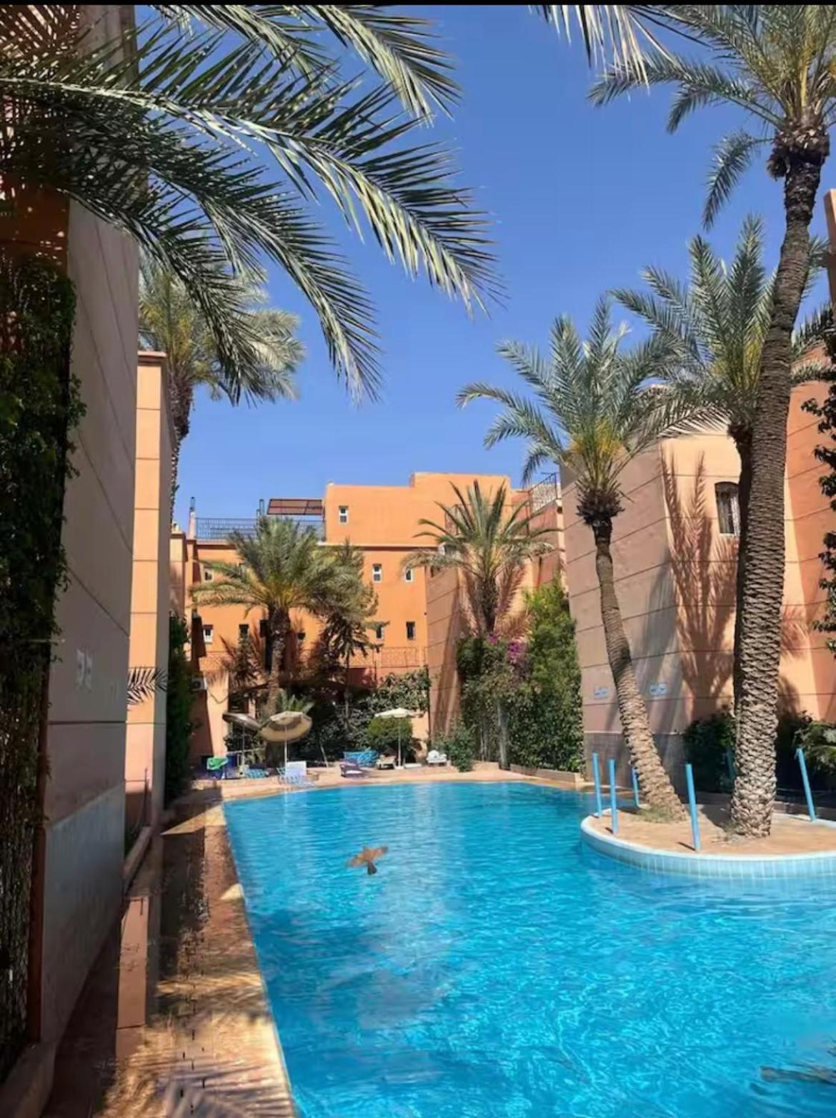 Riad Abdo *