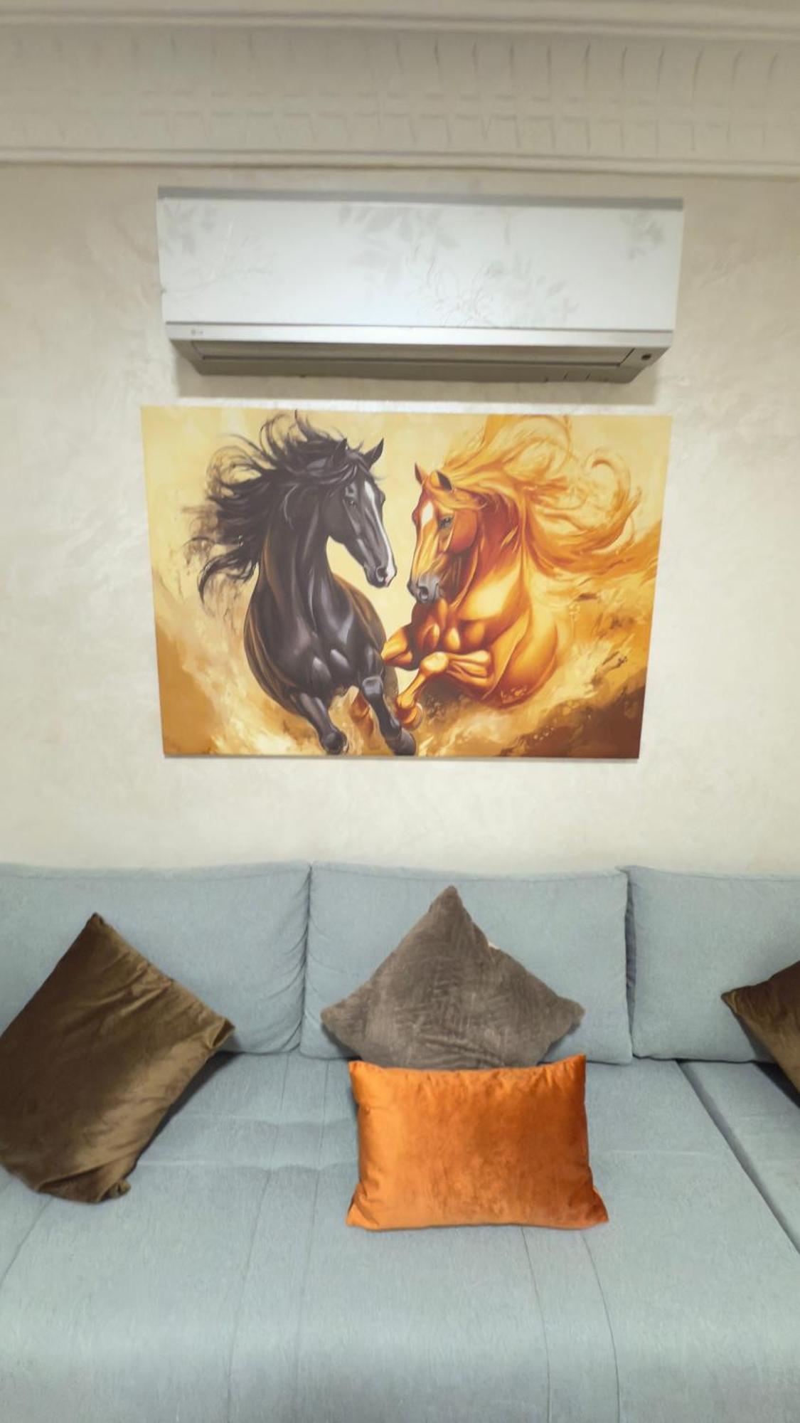Apartment Just Renovated In Marrakech *