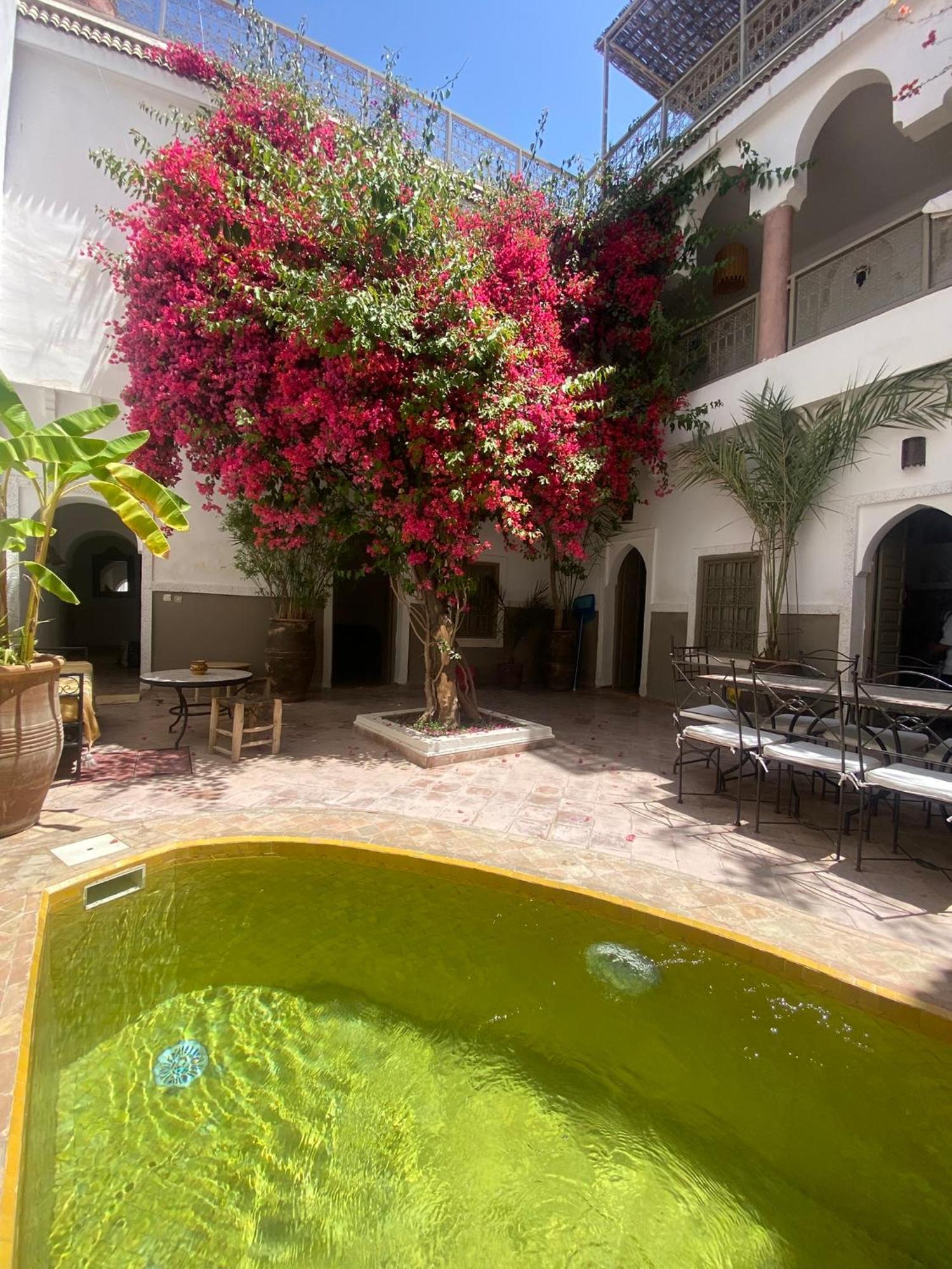 Riad Private House Arlette Exclusive *