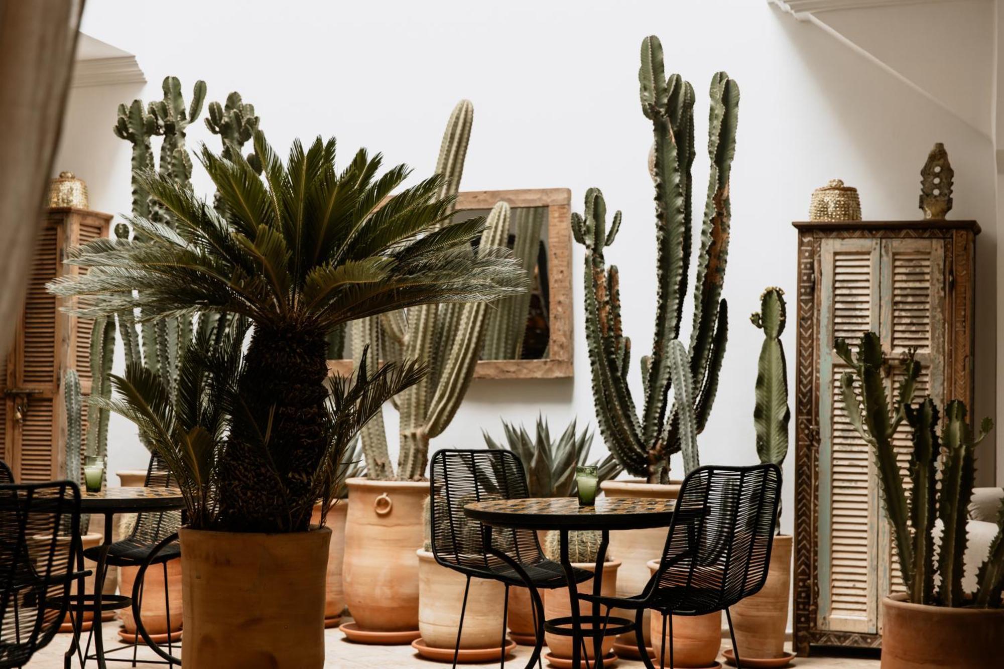 Riad Instant T Marrakesh