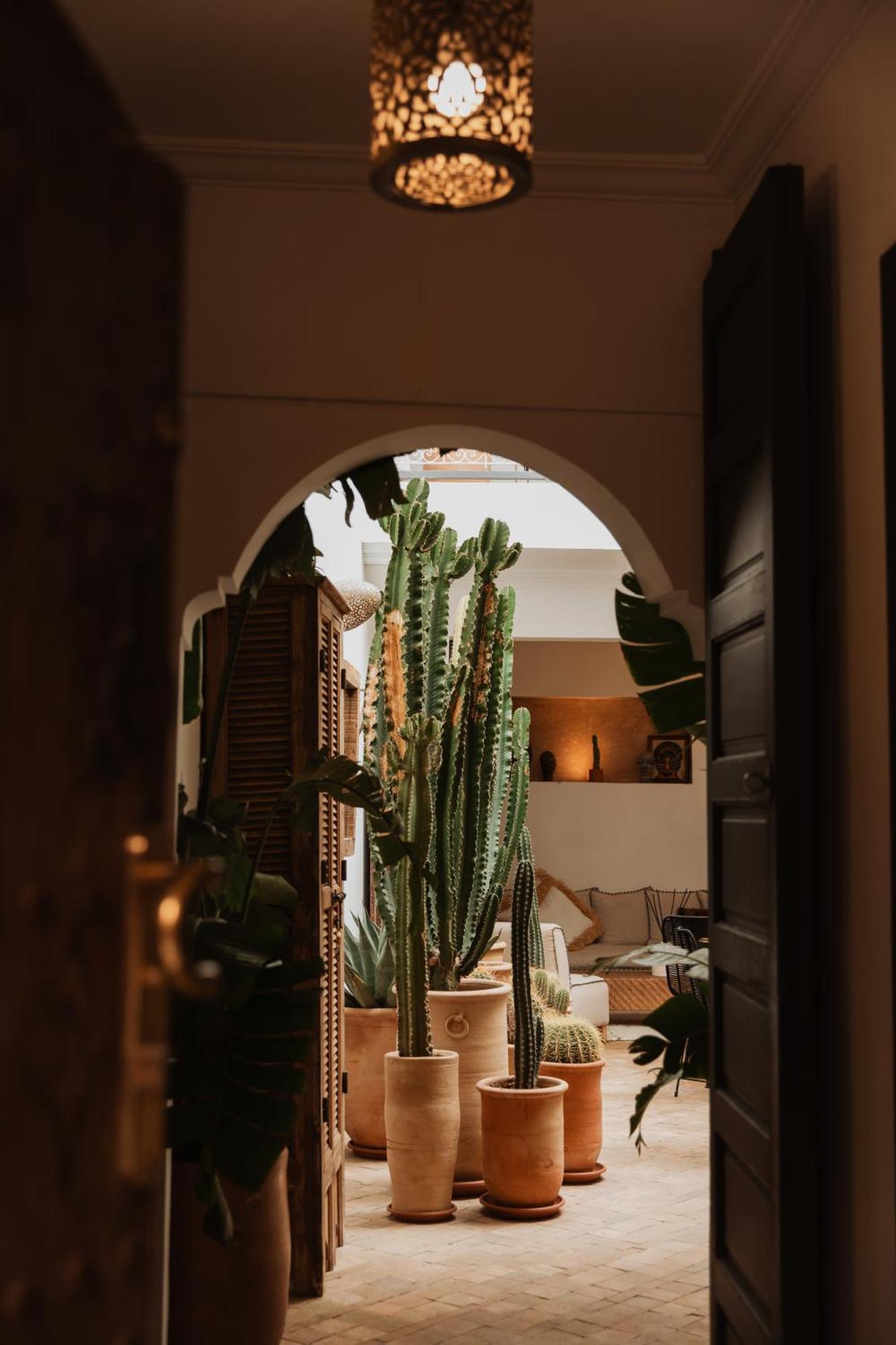 Instant T * Marrakesh