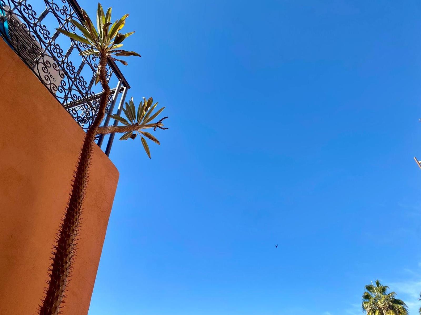 Alchimiste - Privatif Au Coeur De Marrakech Medina Marraquexe