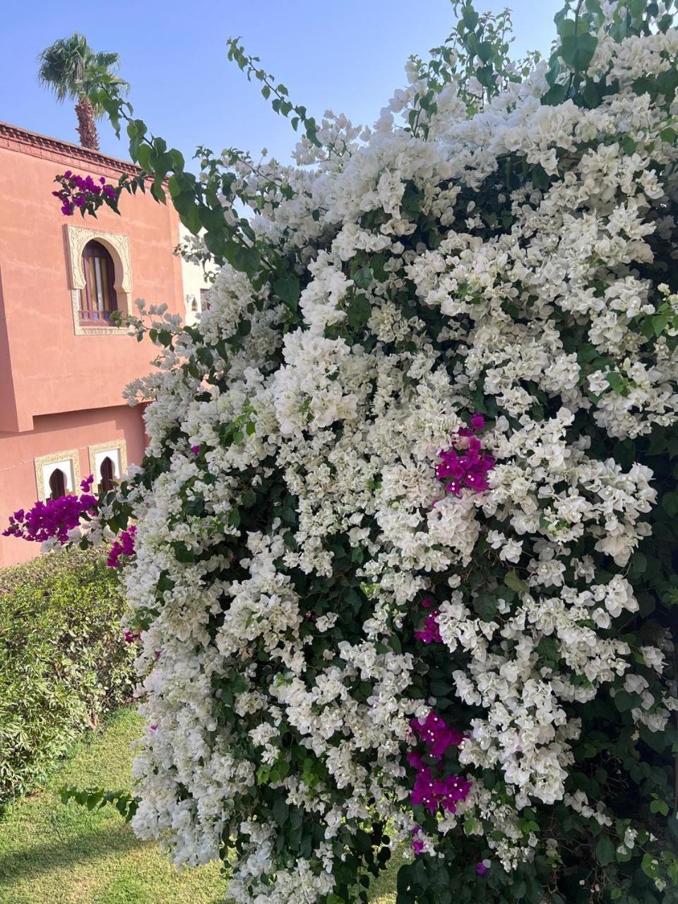 Villa Aalama *