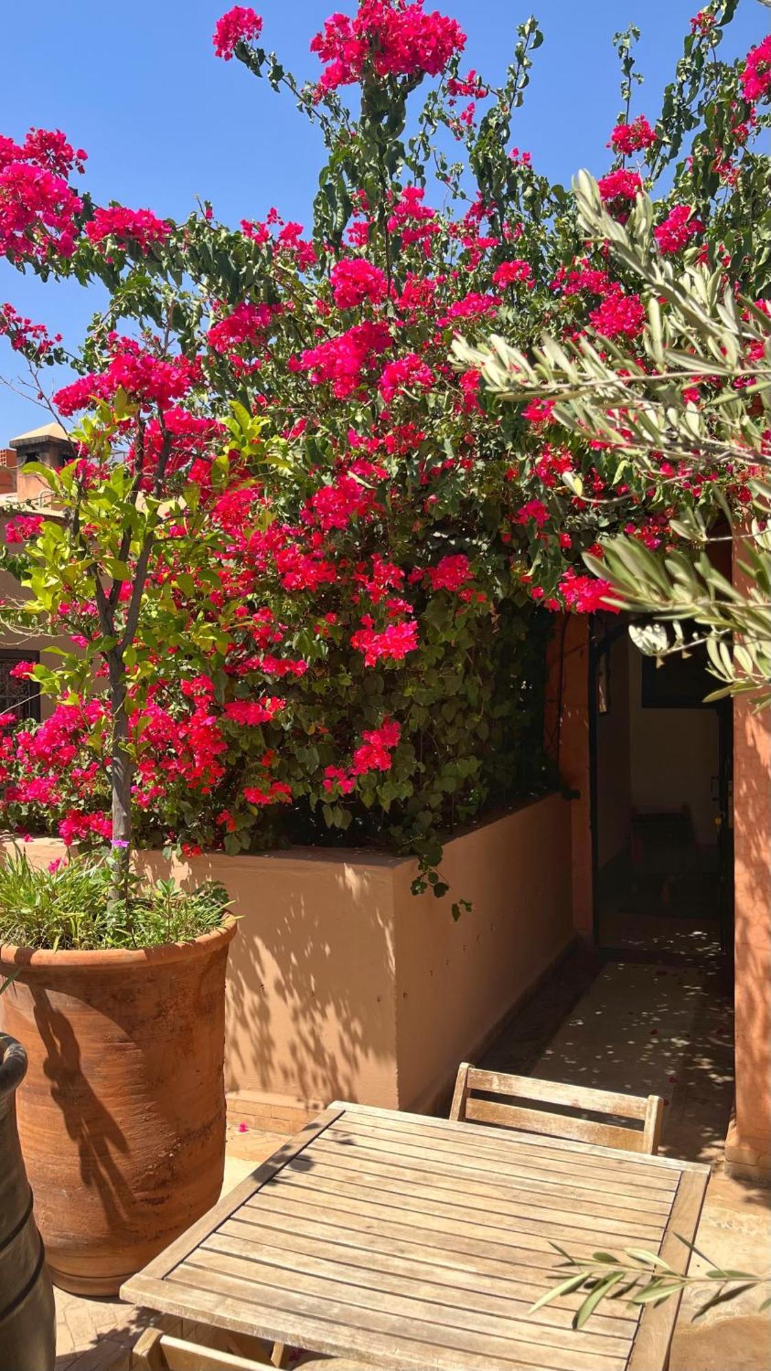 Dar Zaman Riad