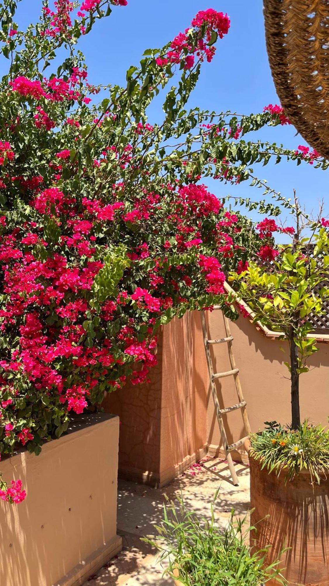 Riad Dar Zaman