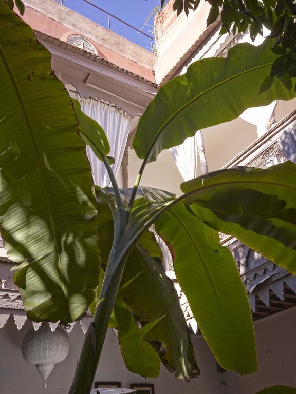 Les Jardins D'henia Riad
