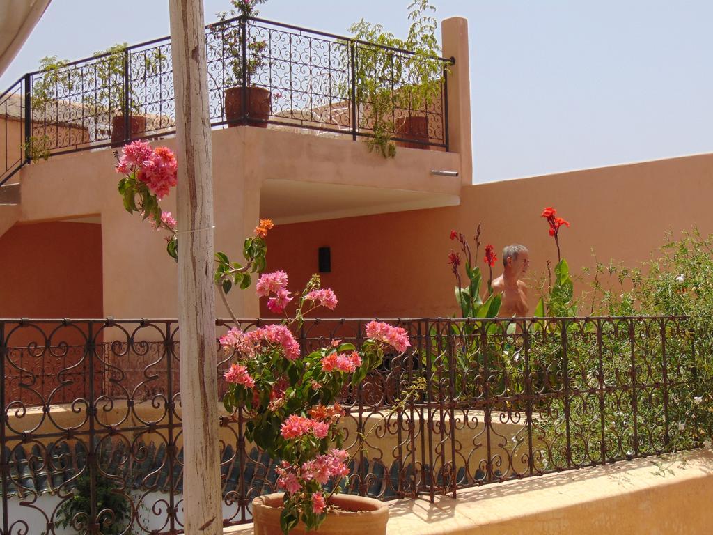 Riad Chameleon *