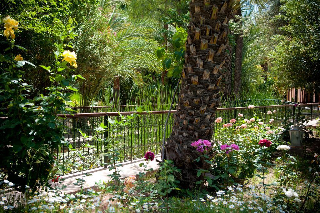 Dar Ayniwen Garden & Bird Zoo 5* Marrakesh