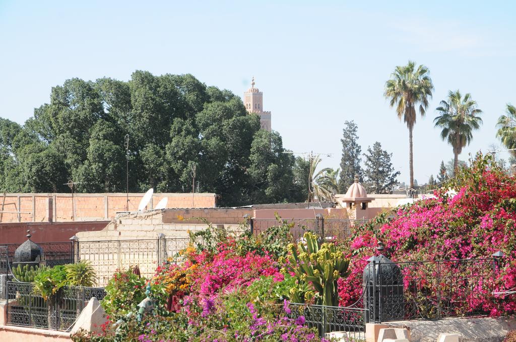 Origin Lhena Marrakesh