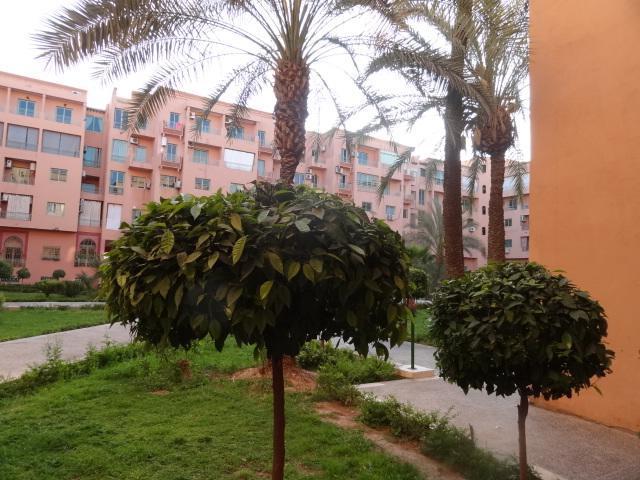 Apartment Manis Set In A Area Marrakesh